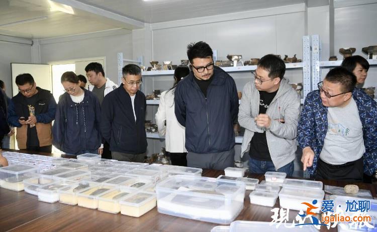 填補(bǔ)多項考古空白 江蘇常州金壇三星村遺址發(fā)掘助力華夏文明探源？