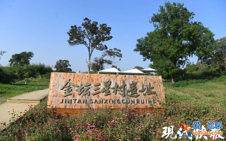 填補(bǔ)多項考古空白 江蘇常州金壇三星村遺址發(fā)掘助力華夏文明探源？